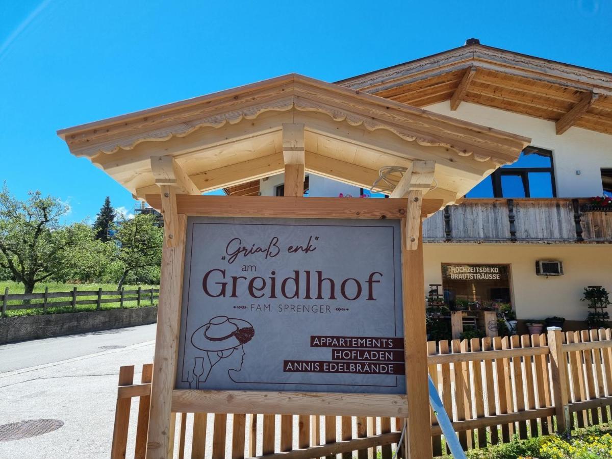 Greidlhof Alpstyle Apartments Fuegen Exterior photo